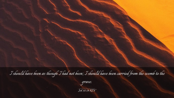 Picture 03 - Job 10:19 KJV Desktop Wallpaper - I should have been as though I had not been; I - Desktop Bible Verse Wallpaper