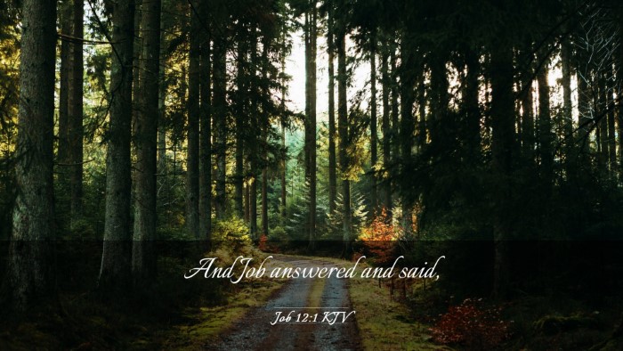 Picture 03 - Job 12:1 KJV Desktop Wallpaper - And Job answered and - Desktop Bible Verse Wallpaper