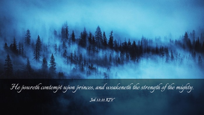 Picture 03 - Job 12:21 KJV Desktop Wallpaper - He poureth contempt upon princes, and weakeneth - Desktop Bible Verse Wallpaper