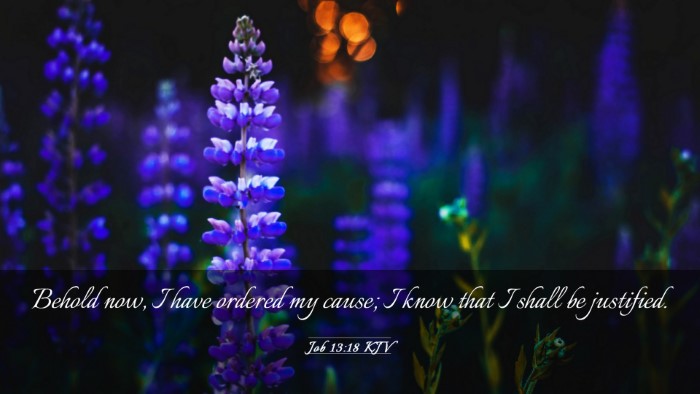 Picture 03 - Job 13:18 KJV Desktop Wallpaper - Behold now, I have ordered my cause; I know that - Desktop Bible Verse Wallpaper