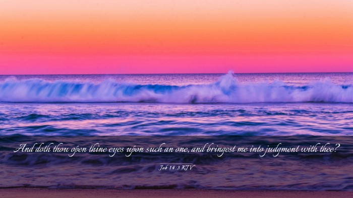 Picture 03 - Job 14:3 KJV Desktop Wallpaper - And doth thou open thine eyes upon such an one, - Desktop Bible Verse Wallpaper