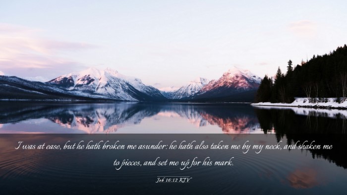 Picture 03 - Job 16:12 KJV Desktop Wallpaper - I was at ease, but he hath broken me asunder: he - Desktop Bible Verse Wallpaper