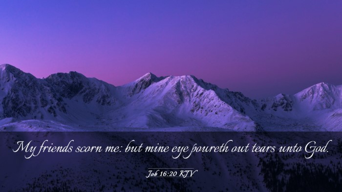 Picture 03 - Job 16:20 KJV Desktop Wallpaper - My friends scorn me: but mine eye poureth out - Desktop Bible Verse Wallpaper