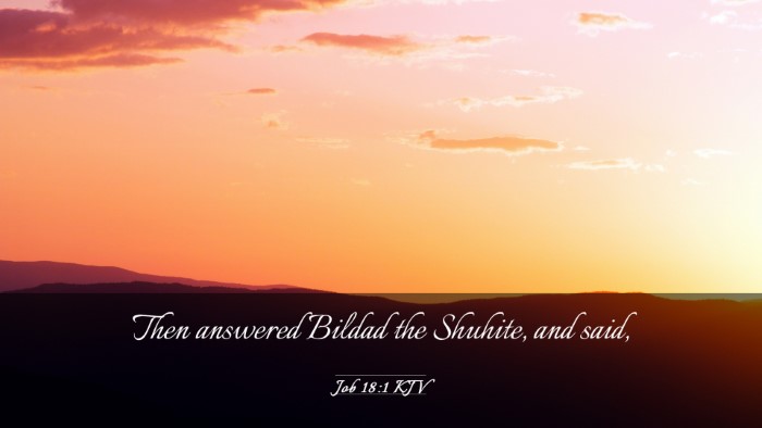 Picture 03 - Job 18:1 KJV Desktop Wallpaper - Then answered Bildad the Shuhite, and - Desktop Bible Verse Wallpaper