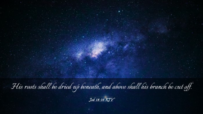 Picture 03 - Job 18:16 KJV Desktop Wallpaper - His roots shall be dried up beneath, and above - Desktop Bible Verse Wallpaper