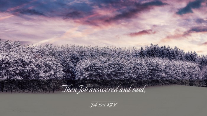Picture 03 - Job 19:1 KJV Desktop Wallpaper - Then Job answered and - Desktop Bible Verse Wallpaper