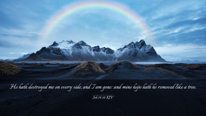 Picture 03 - Job 19:10 KJV Desktop Wallpaper - He hath destroyed me on every side, and I am - Desktop Bible Verse Wallpaper