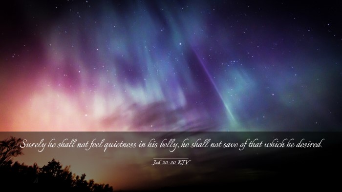 Picture 03 - Job 20:20 KJV Desktop Wallpaper - Surely he shall not feel quietness in his belly, - Desktop Bible Verse Wallpaper