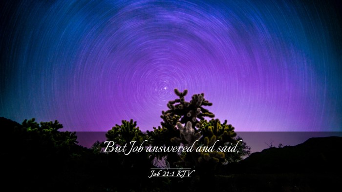 Picture 03 - Job 21:1 KJV Desktop Wallpaper - But Job answered and - Desktop Bible Verse Wallpaper