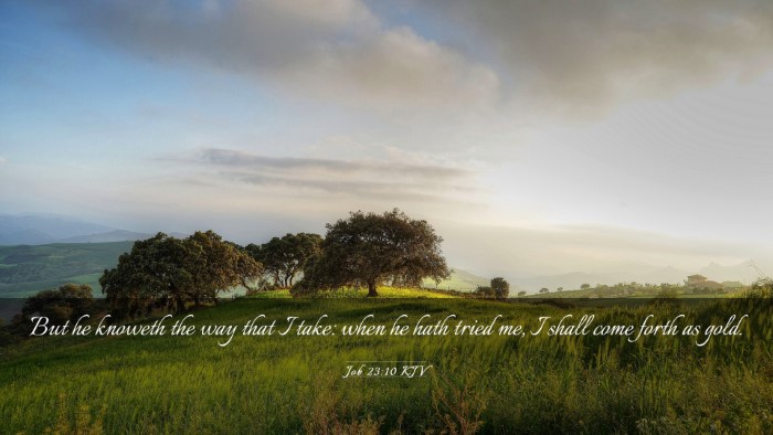 Picture 03 - Job 23:10 KJV Desktop Wallpaper - But he knoweth the way that I take: when he hath - Desktop Bible Verse Wallpaper
