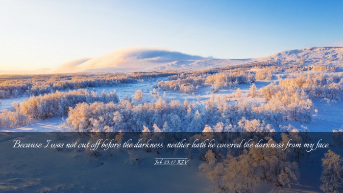 Picture 03 - Job 23:17 KJV Desktop Wallpaper - Because I was not cut off before the darkness, - Desktop Bible Verse Wallpaper