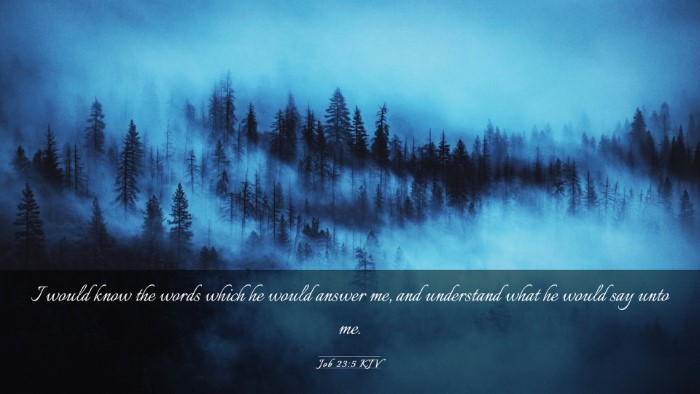 Picture 03 - Job 23:5 KJV Desktop Wallpaper - I would know the words which he would answer me, - Desktop Bible Verse Wallpaper