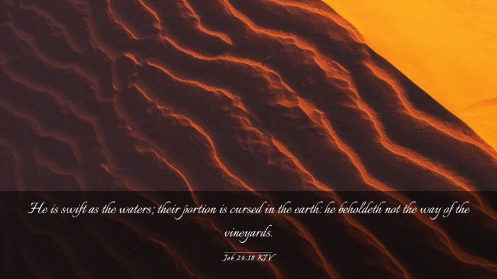Picture 03 - Job 24:18 KJV Desktop Wallpaper - He is swift as the waters; their portion is - Desktop Bible Verse Wallpaper