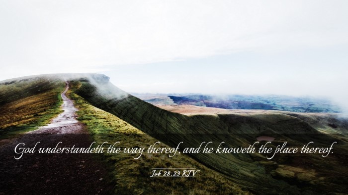Picture 03 - Job 28:23 KJV Desktop Wallpaper - God understandeth the way thereof, and he knoweth - Desktop Bible Verse Wallpaper