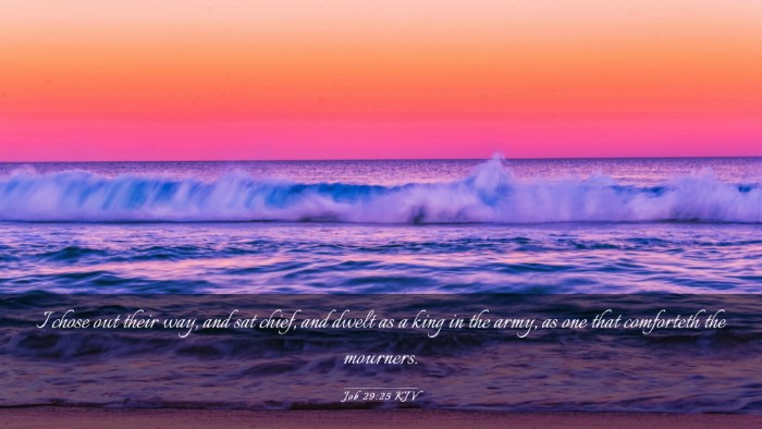 Picture 03 - Job 29:25 KJV Desktop Wallpaper - I chose out their way, and sat chief, and dwelt - Desktop Bible Verse Wallpaper
