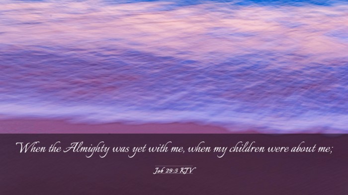 Picture 03 - Job 29:5 KJV Desktop Wallpaper - When the Almighty was yet with me, when my - Desktop Bible Verse Wallpaper