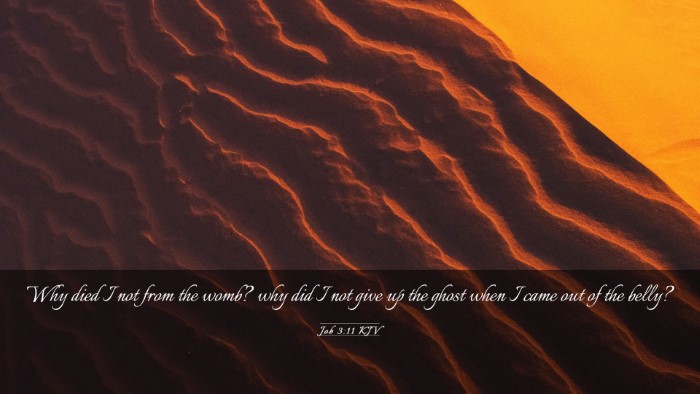 Picture 03 - Job 3:11 KJV Desktop Wallpaper - Why died I not from the womb? why did I not give - Desktop Bible Verse Wallpaper