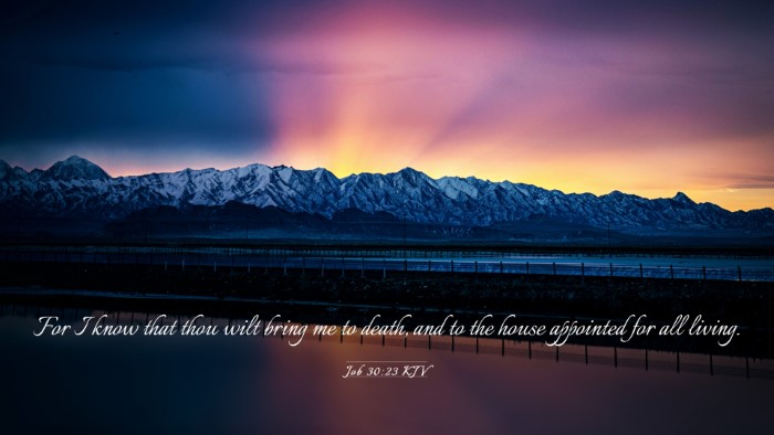 Picture 03 - Job 30:23 KJV Desktop Wallpaper - For I know that thou wilt bring me to death, and - Desktop Bible Verse Wallpaper