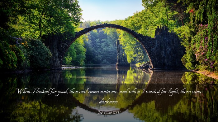 Picture 03 - Job 30:26 KJV Desktop Wallpaper - When I looked for good, then evil came unto me: - Desktop Bible Verse Wallpaper