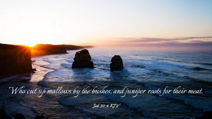 Picture 03 - Job 30:4 KJV Desktop Wallpaper - Who cut up mallows by the bushes, and juniper - Desktop Bible Verse Wallpaper