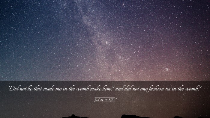Picture 03 - Job 31:15 KJV Desktop Wallpaper - Did not he that made me in the womb make him? and - Desktop Bible Verse Wallpaper