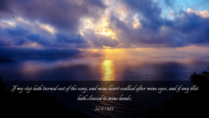 Picture 03 - Job 31:7 KJV Desktop Wallpaper - If my step hath turned out of the way, and mine - Desktop Bible Verse Wallpaper