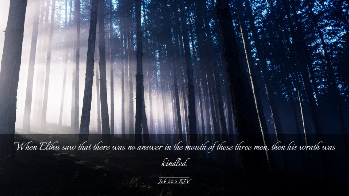 Picture 03 - Job 32:5 KJV Desktop Wallpaper - When Elihu saw that there was no answer in the - Desktop Bible Verse Wallpaper