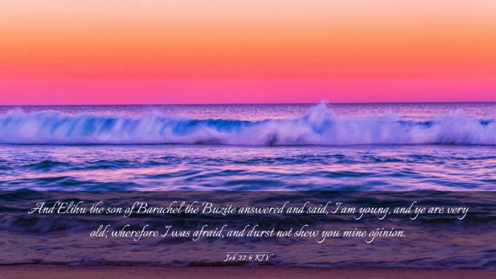 Picture 03 - Job 32:6 KJV Desktop Wallpaper - And Elihu the son of Barachel the Buzite answered - Desktop Bible Verse Wallpaper