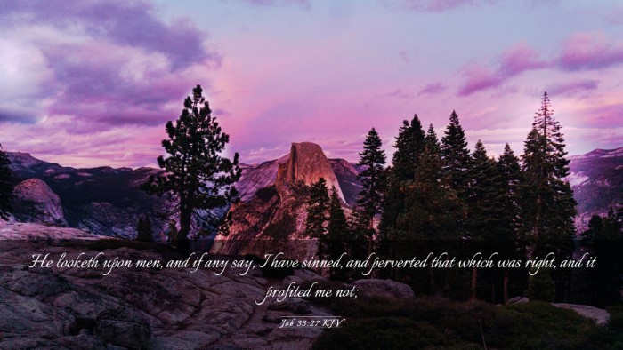 Picture 03 - Job 33:27 KJV Desktop Wallpaper - He looketh upon men, and if any say, I have - Desktop Bible Verse Wallpaper