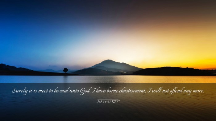 Picture 03 - Job 34:31 KJV Desktop Wallpaper - Surely it is meet to be said unto God, I have - Desktop Bible Verse Wallpaper