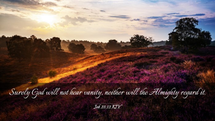 Picture 03 - Job 35:13 KJV Desktop Wallpaper - Surely God will not hear vanity, neither will the - Desktop Bible Verse Wallpaper