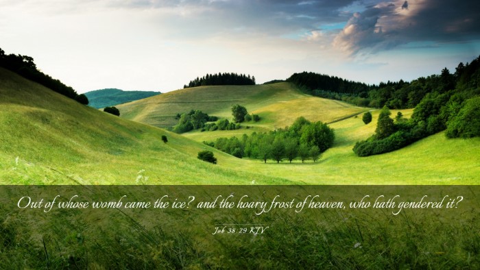 Picture 03 - Job 38:29 KJV Desktop Wallpaper - Out of whose womb came the ice? and the hoary - Desktop Bible Verse Wallpaper