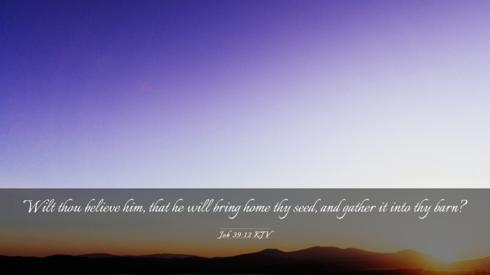 Picture 03 - Job 39:12 KJV Desktop Wallpaper - Wilt thou believe him, that he will bring home - Desktop Bible Verse Wallpaper
