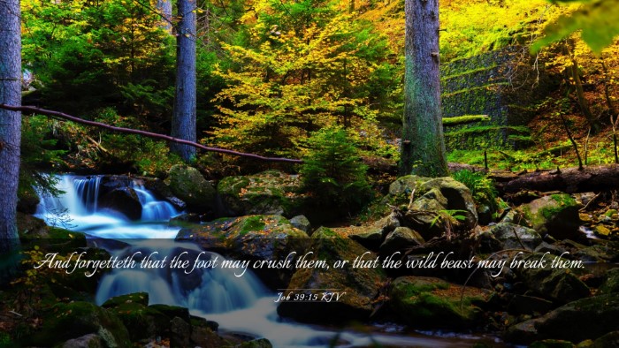Picture 03 - Job 39:15 KJV Desktop Wallpaper - And forgetteth that the foot may crush them, or - Desktop Bible Verse Wallpaper