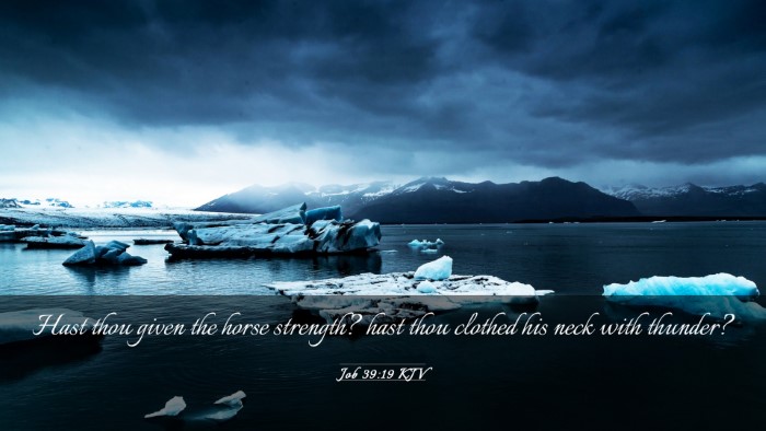 Picture 03 - Job 39:19 KJV Desktop Wallpaper - Hast thou given the horse strength? hast thou - Desktop Bible Verse Wallpaper