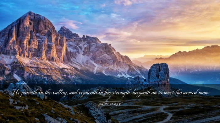 Picture 03 - Job 39:21 KJV Desktop Wallpaper - He paweth in the valley, and rejoiceth in his - Desktop Bible Verse Wallpaper