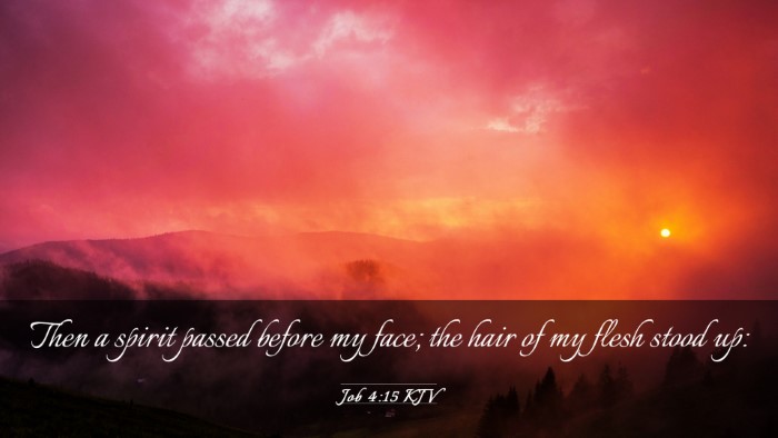Picture 03 - Job 4:15 KJV Desktop Wallpaper - Then a spirit passed before my face; the hair of - Desktop Bible Verse Wallpaper