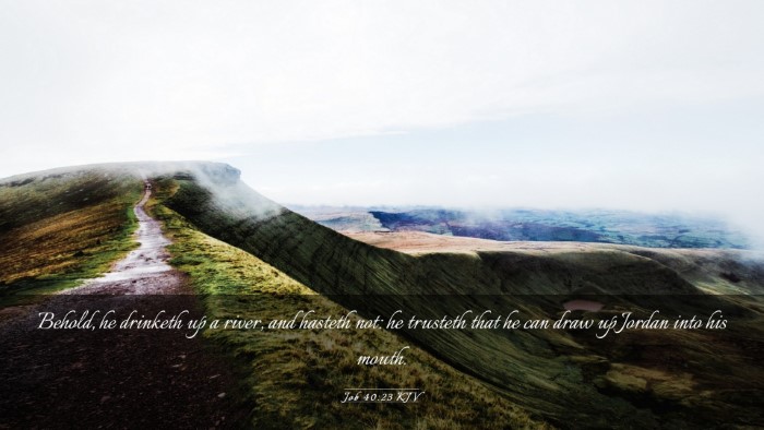 Picture 03 - Job 40:23 KJV Desktop Wallpaper - Behold, he drinketh up a river, and hasteth not: - Desktop Bible Verse Wallpaper