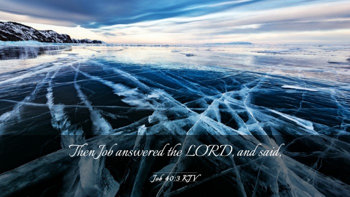 Picture 03 - Job 40:3 KJV Desktop Wallpaper - Then Job answered the LORD, and - Desktop Bible Verse Wallpaper