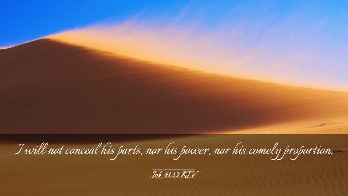 Picture 03 - Job 41:12 KJV Desktop Wallpaper - I will not conceal his parts, nor his power, nor - Desktop Bible Verse Wallpaper