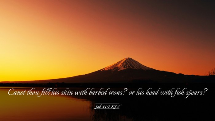 Picture 03 - Job 41:7 KJV Desktop Wallpaper - Canst thou fill his skin with barbed irons? or - Desktop Bible Verse Wallpaper