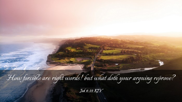 Picture 03 - Job 6:25 KJV Desktop Wallpaper - How forcible are right words! but what doth your - Desktop Bible Verse Wallpaper