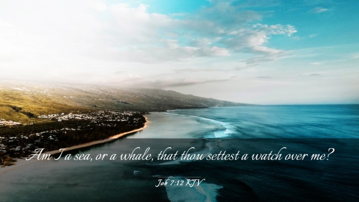 Picture 03 - Job 7:12 KJV Desktop Wallpaper - Am I a sea, or a whale, that thou settest a watch - Desktop Bible Verse Wallpaper