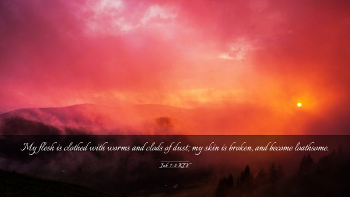 Picture 03 - Job 7:5 KJV Desktop Wallpaper - My flesh is clothed with worms and clods of dust; - Desktop Bible Verse Wallpaper