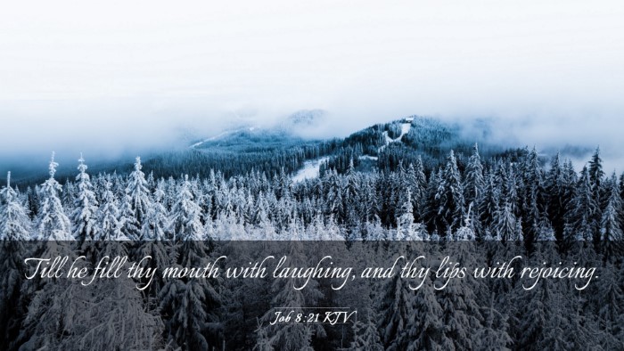 Picture 03 - Job 8:21 KJV Desktop Wallpaper - Till he fill thy mouth with laughing, and thy - Desktop Bible Verse Wallpaper