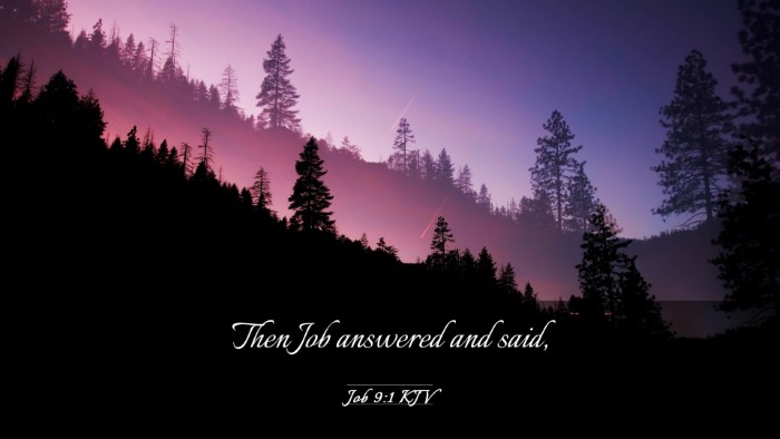 Picture 03 - Job 9:1 KJV Desktop Wallpaper - Then Job answered and - Desktop Bible Verse Wallpaper
