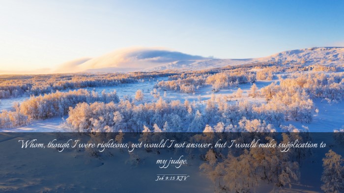 Picture 03 - Job 9:15 KJV Desktop Wallpaper - Whom, though I were righteous, yet would I not - Desktop Bible Verse Wallpaper
