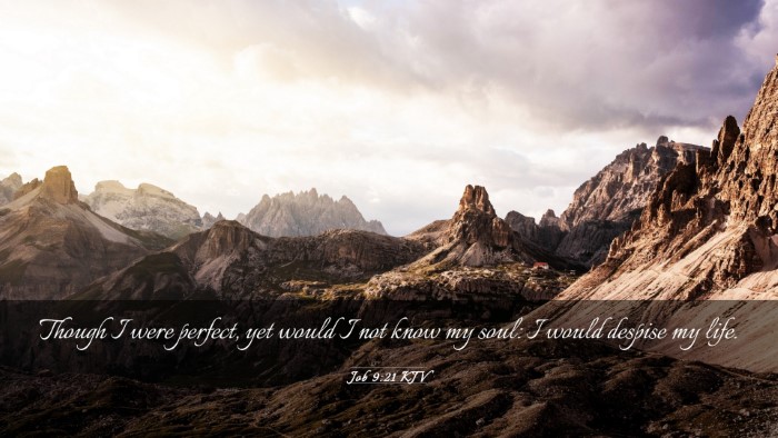Picture 03 - Job 9:21 KJV Desktop Wallpaper - Though I were perfect, yet would I not know my - Desktop Bible Verse Wallpaper