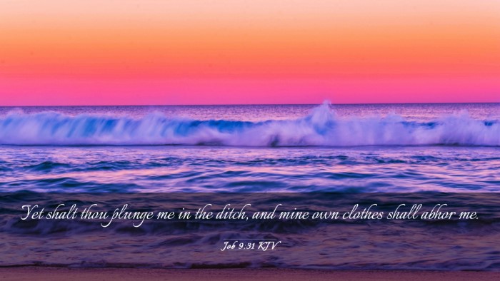 Picture 03 - Job 9:31 KJV Desktop Wallpaper - Yet shalt thou plunge me in the ditch, and mine - Desktop Bible Verse Wallpaper