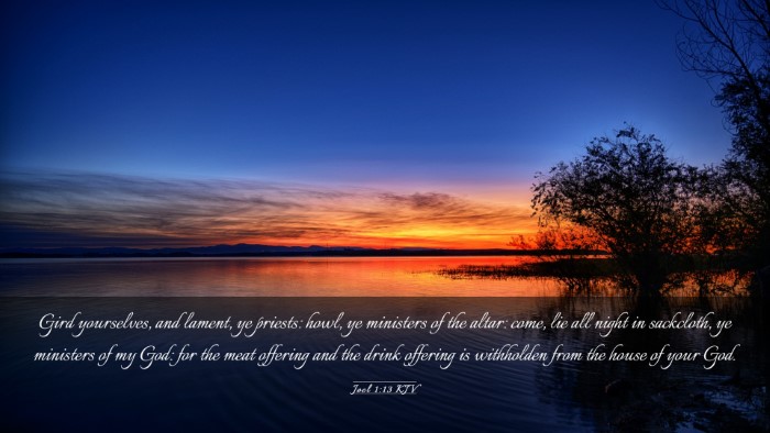 Picture 03 - Joel 1:13 KJV Desktop Wallpaper - Gird yourselves, and lament, ye priests: howl, ye - Desktop Bible Verse Wallpaper